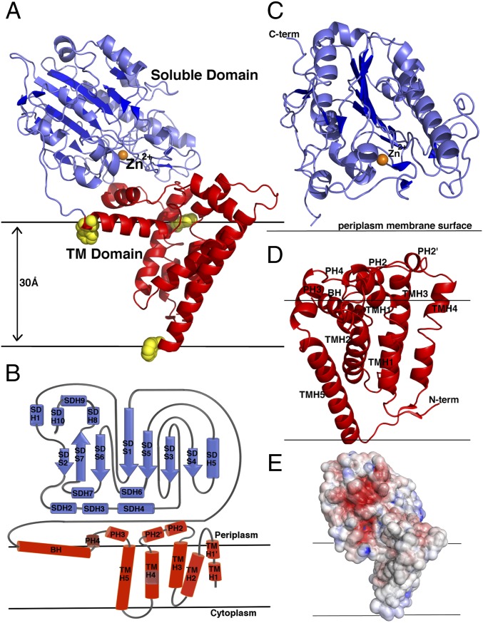 Fig. 1.