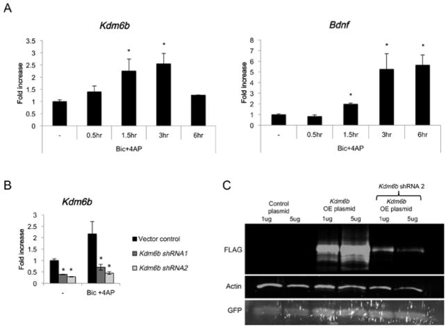 Figure 5