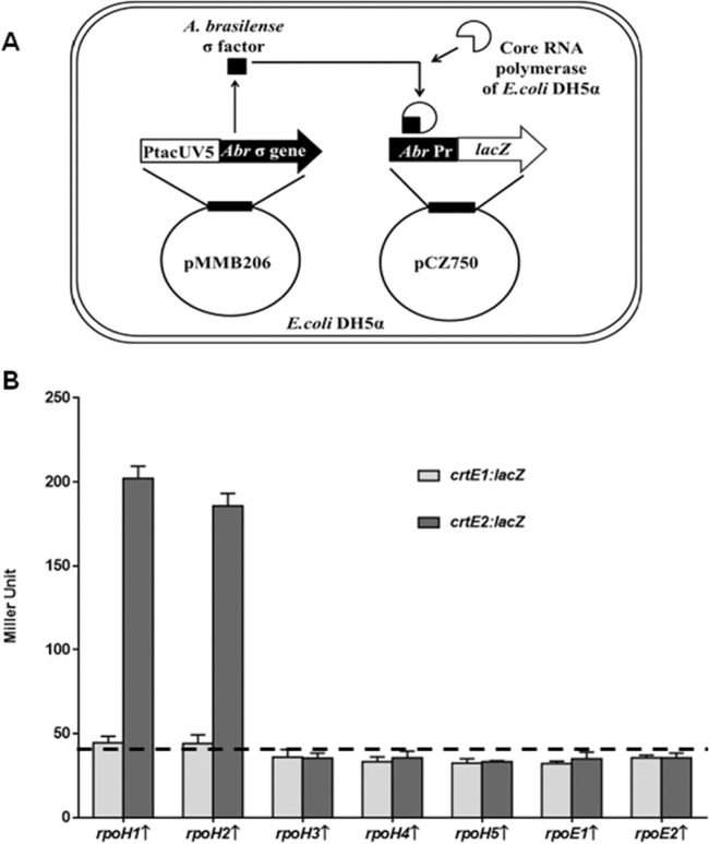 FIG 2