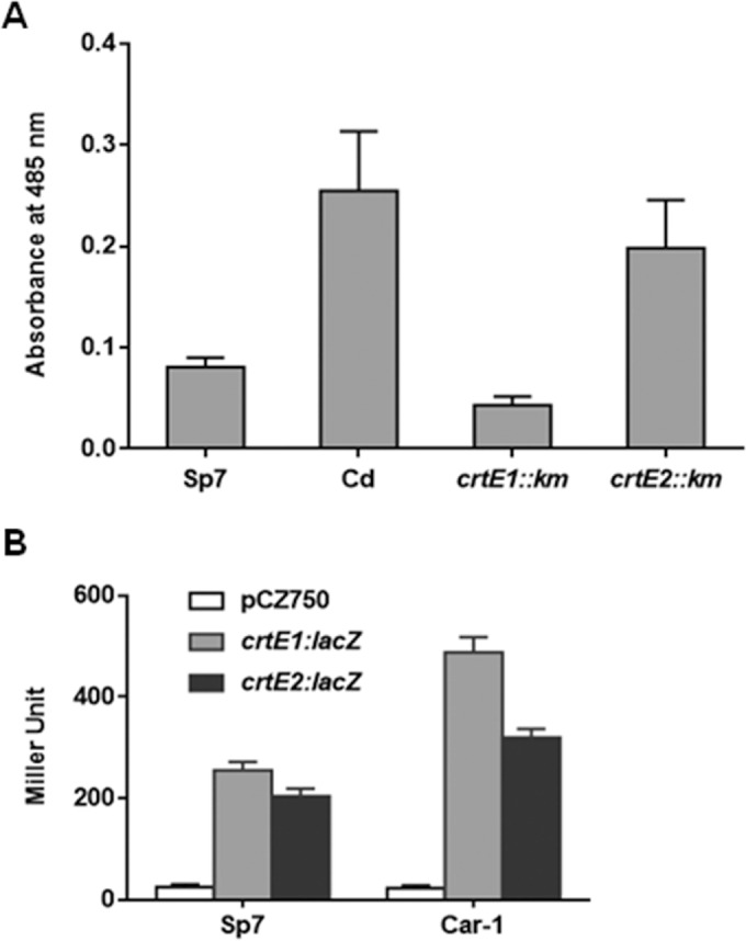 FIG 1