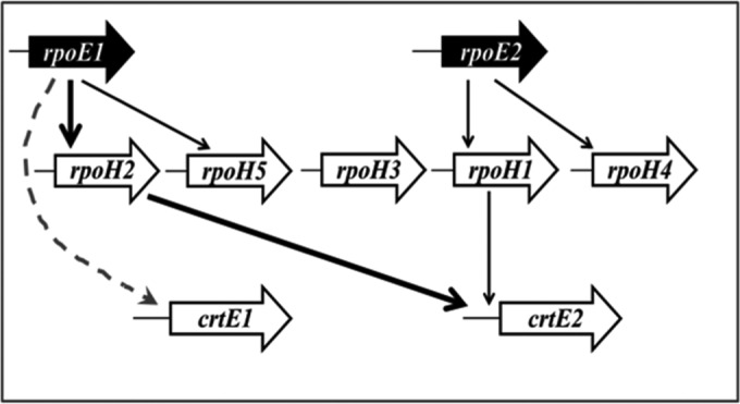 FIG 6