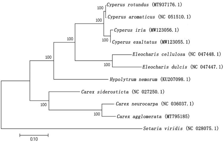 Figure 1.