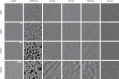 Fig. 8