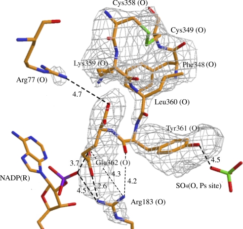 Fig. 3.