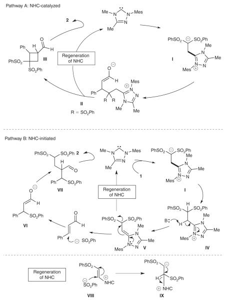 Scheme 2