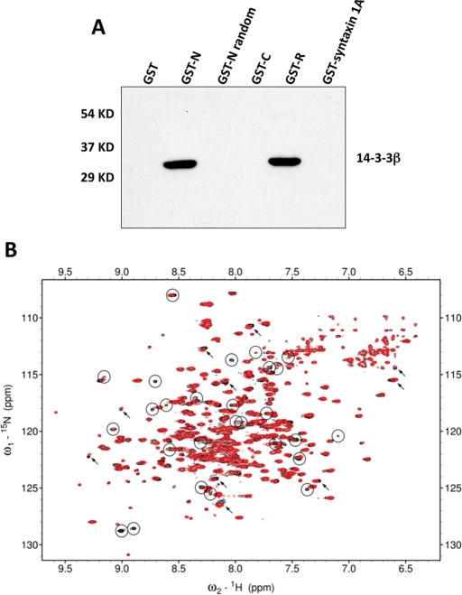 FIGURE 7: