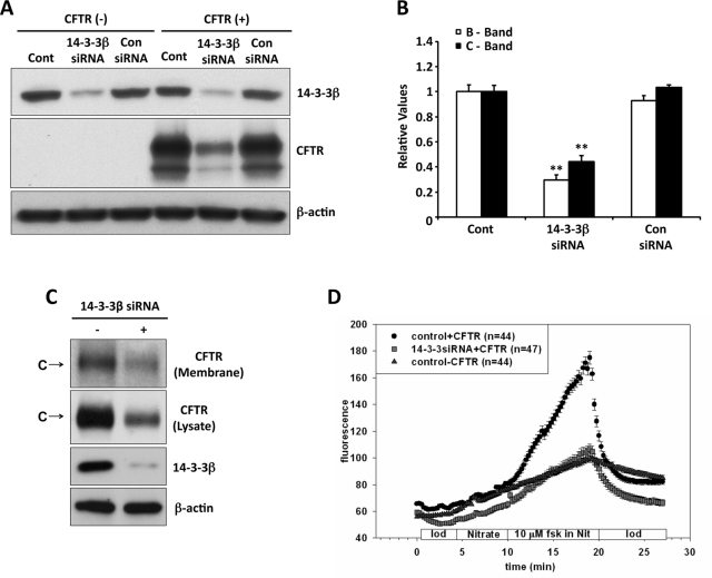 FIGURE 6: