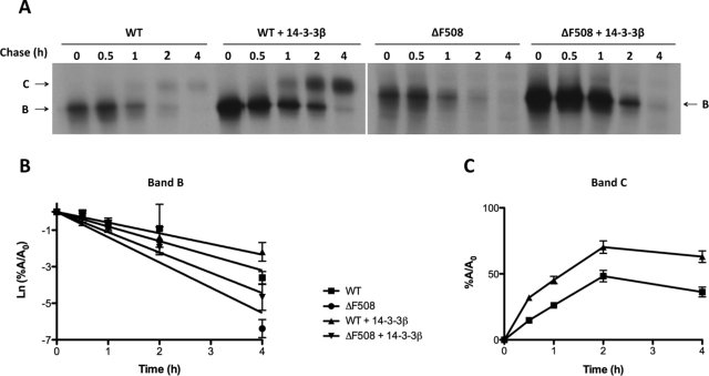 FIGURE 5: