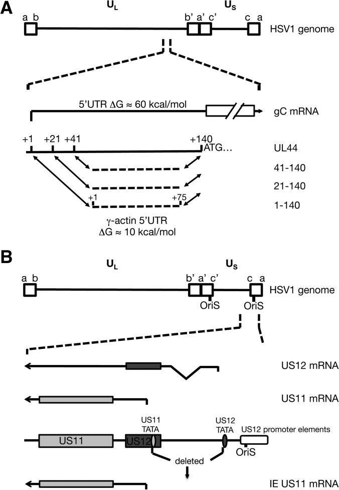 FIG 1