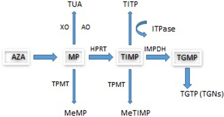 Figure 1