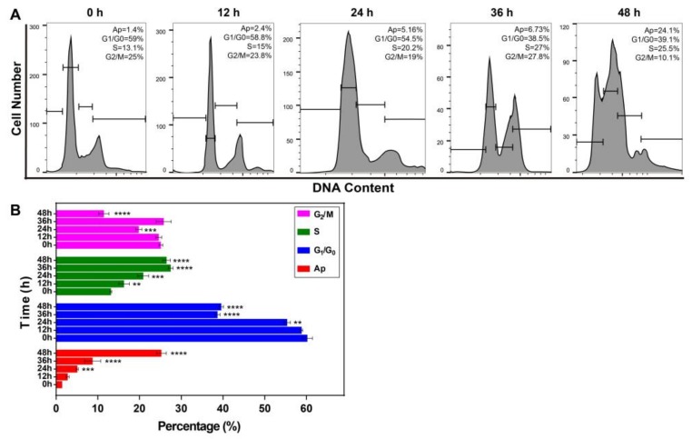 Figure 11