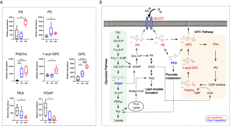 Figure 6