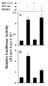 Fig. 10