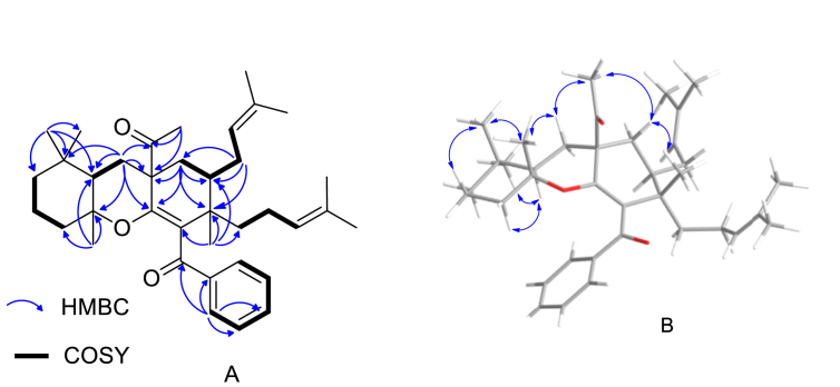 Figure 4