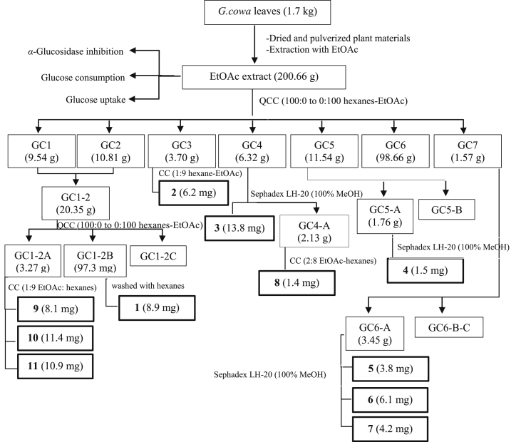 Figure 1