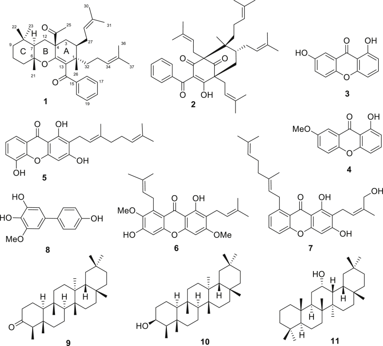 Figure 3