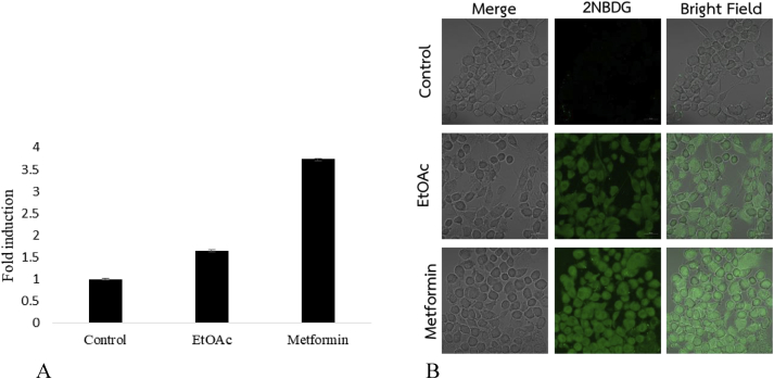 Figure 2