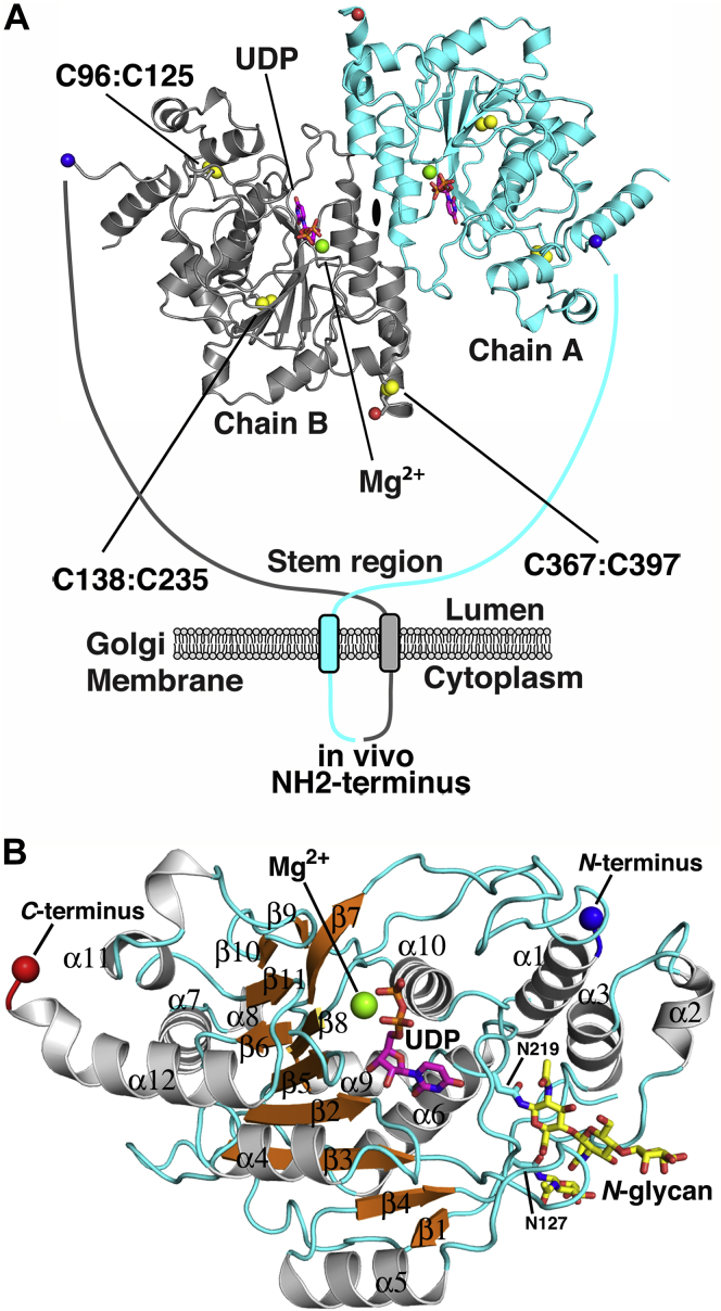 Figure 3