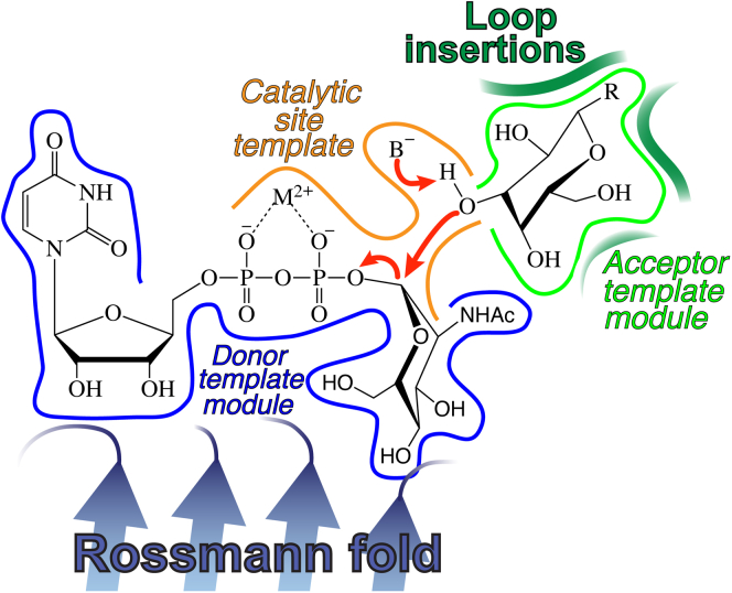 Figure 7