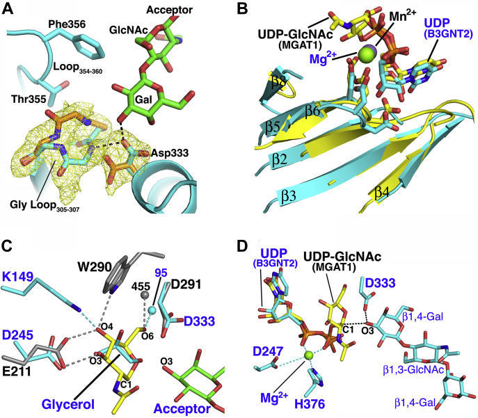 Figure 6