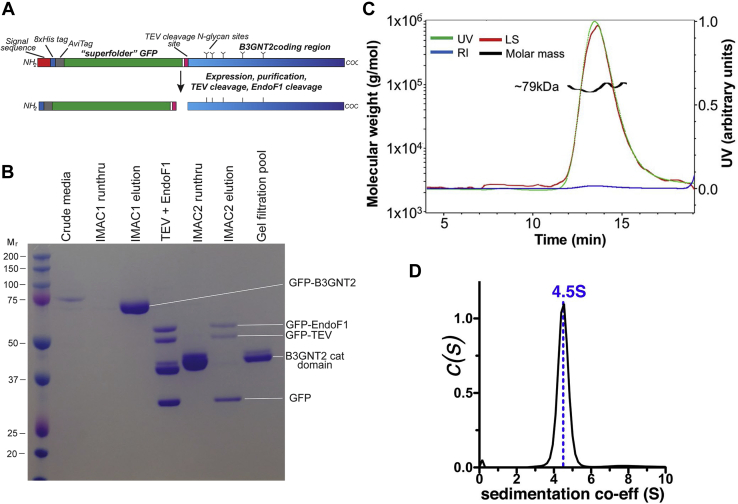 Figure 2