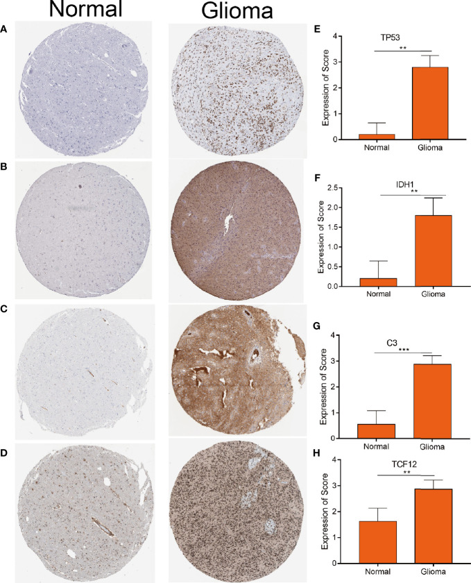 Figure 3