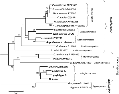 FIG. 2.