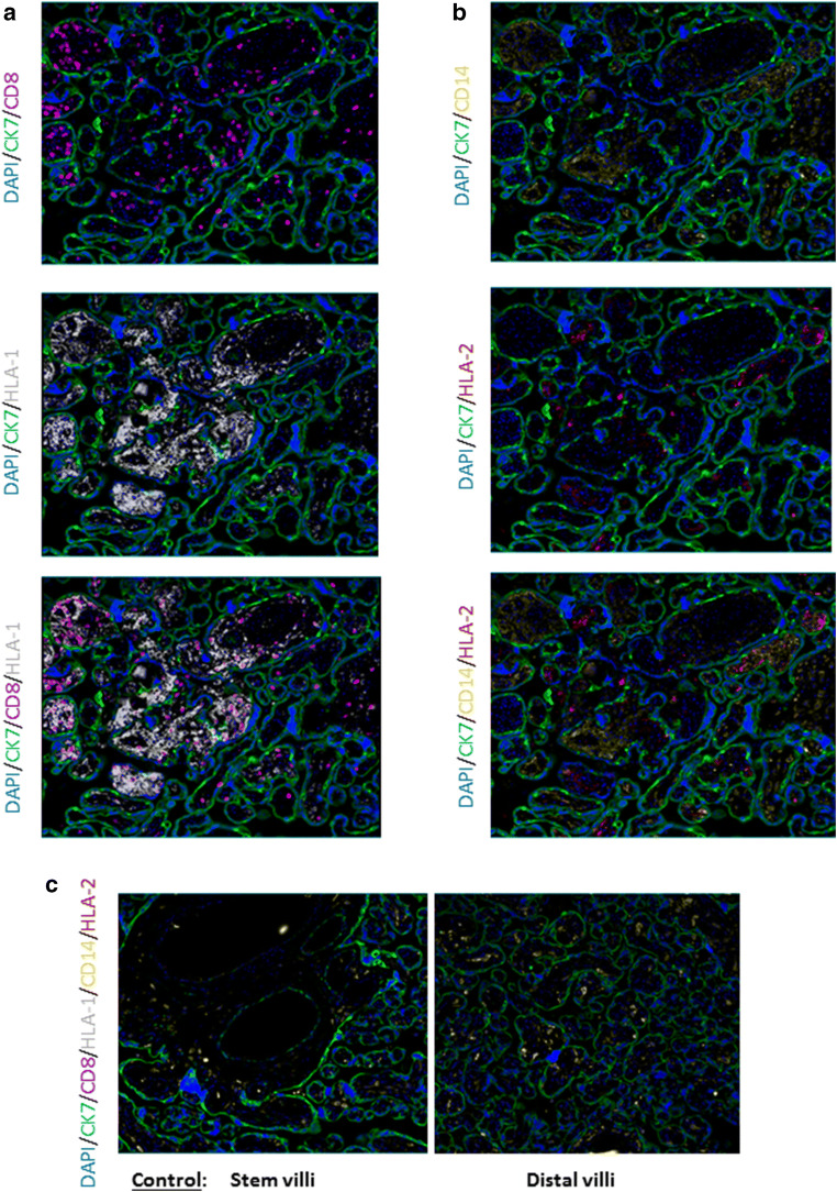 Fig. 4