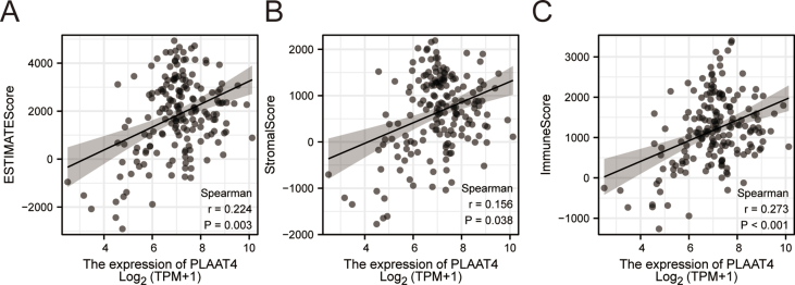 Supplymental Figure 2-PLAAT4 estimate score