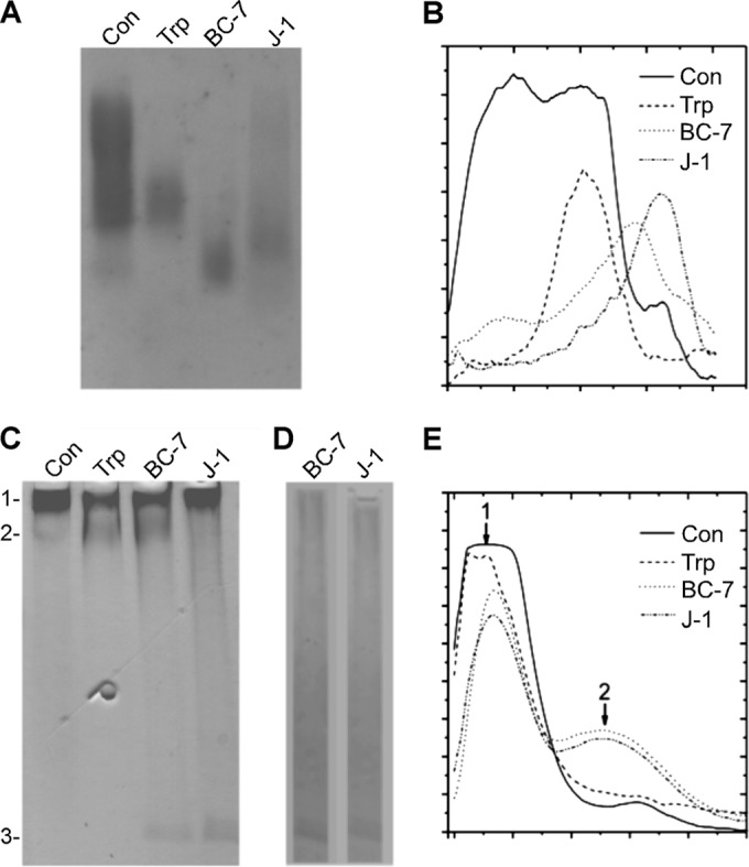 FIG 7