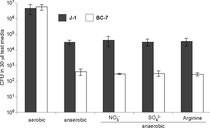 FIG 4