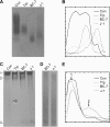 FIG 7