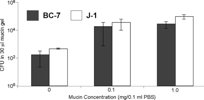 FIG 6