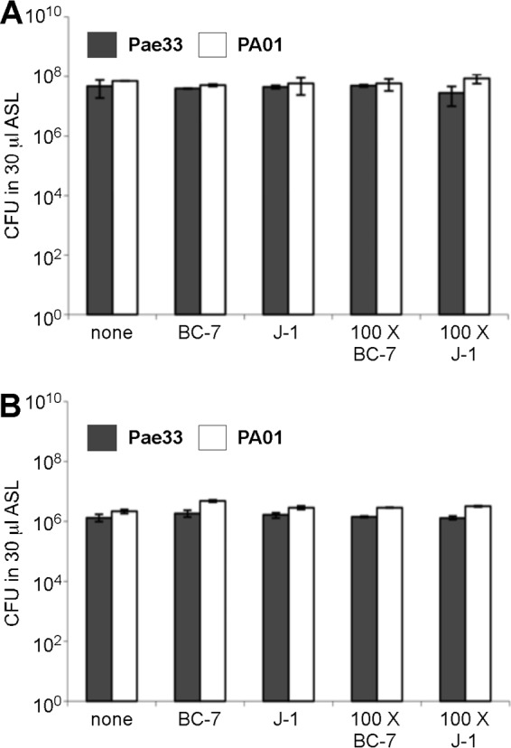 FIG 10