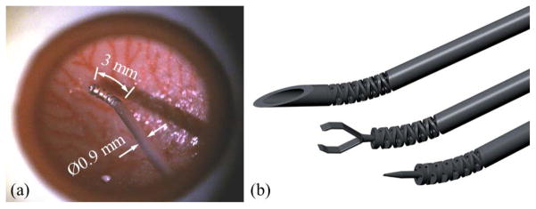 Fig. 8