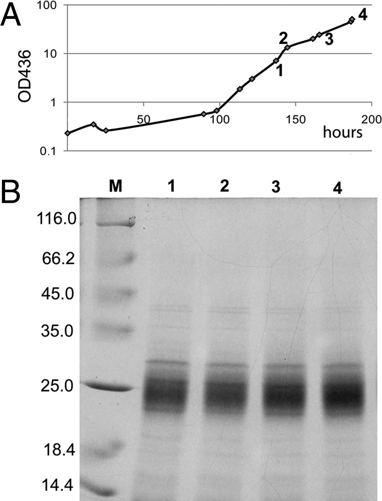 Fig 5