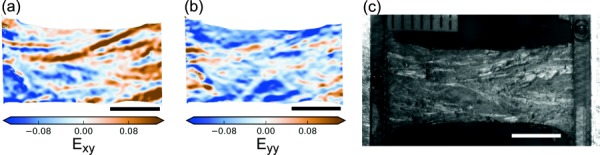 Fig. 10