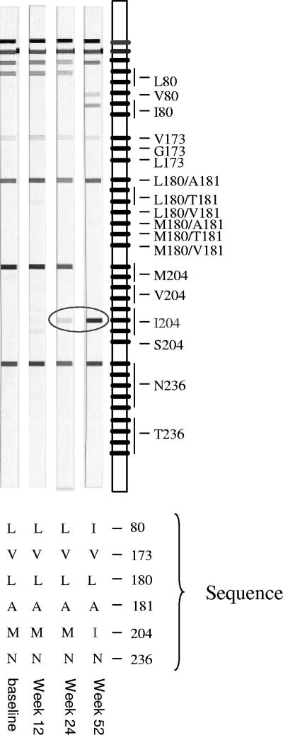 FIG. 3.