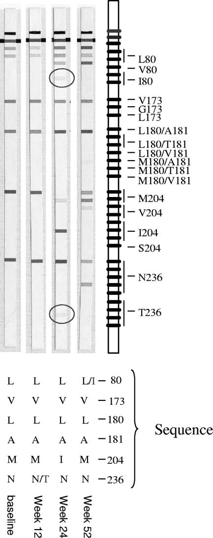 FIG. 2.