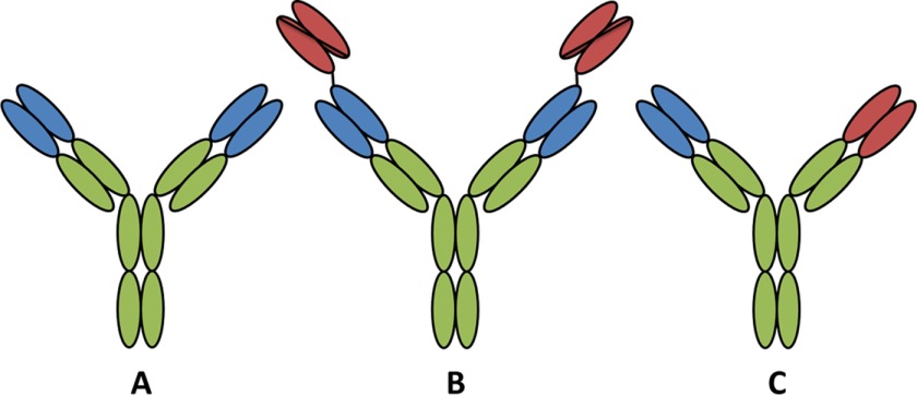 FIGURE 1.