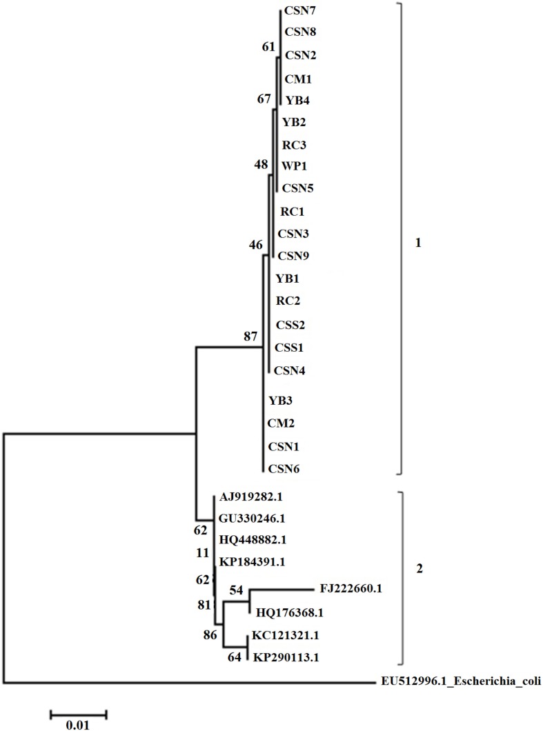 Figure 1