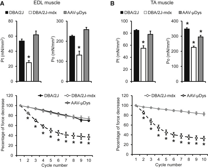 Figure 4