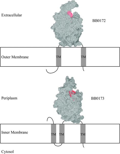 Fig. 8