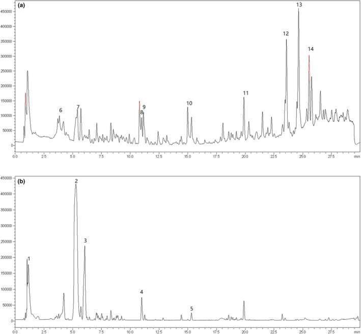 FIGURE 10