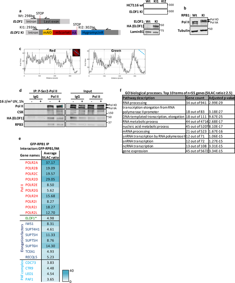 Extended data figure 2.