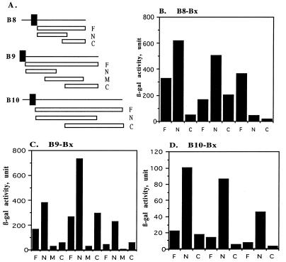 FIG. 3