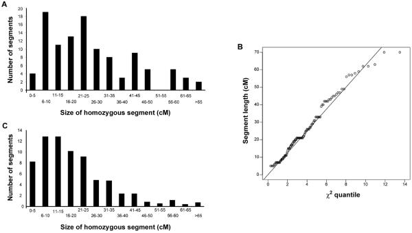 Figure  2