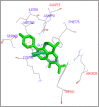 Fig. 10