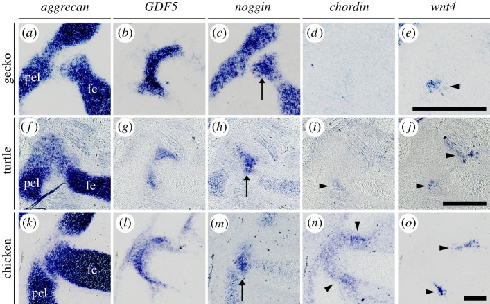 Figure 5.