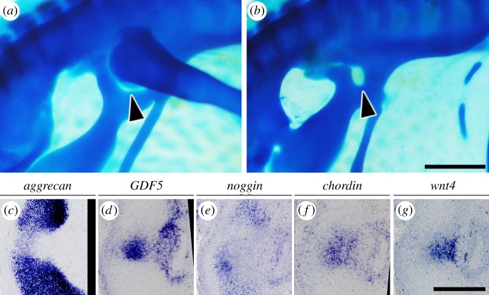 Figure 7.